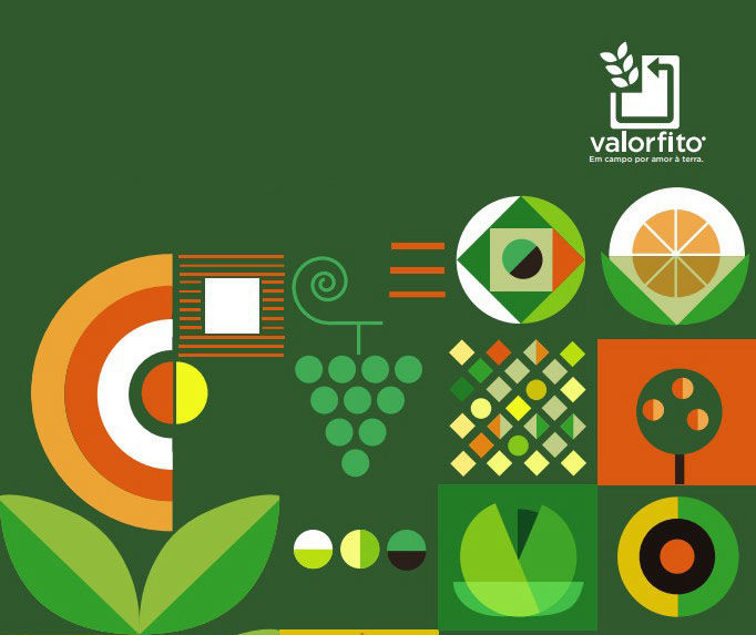 Valorfito